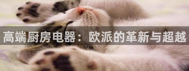 鸿运最新平台叫什么