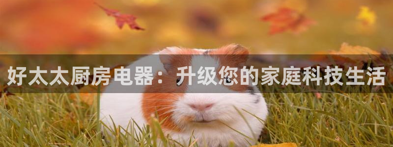 ZJ鸿运平台