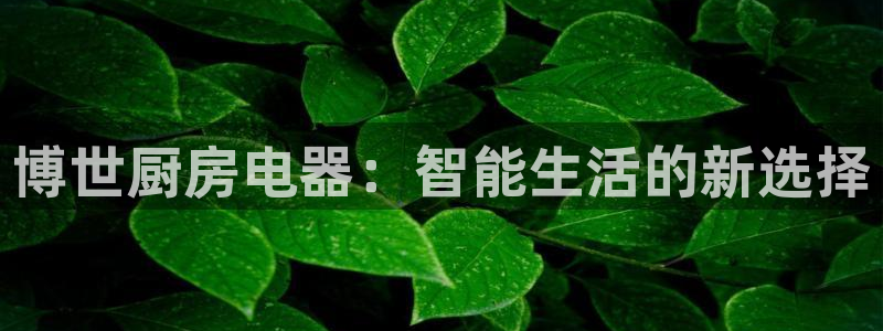 鸿运娱乐代理平台