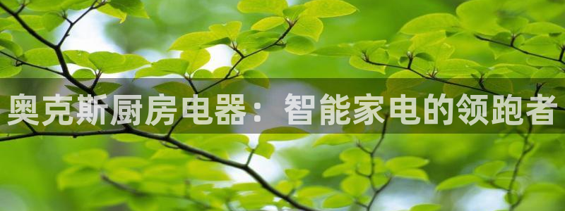 鸿运通商平台