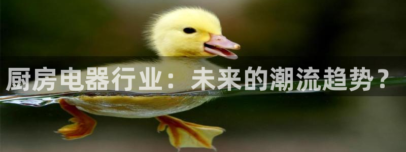 鸿运棋牌直播平台